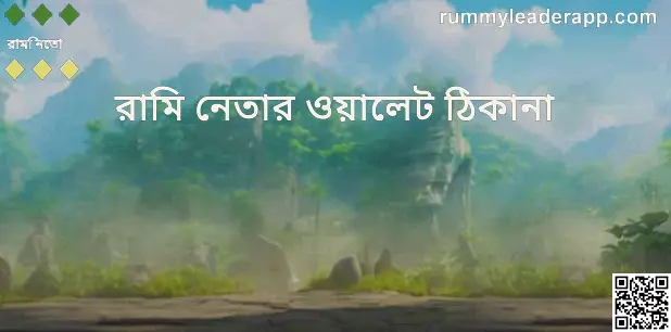 Rummy Leader wallet address withdrawal solution 2025